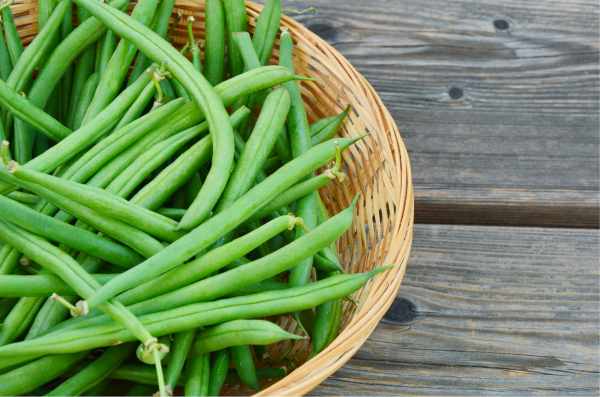 haricots verts