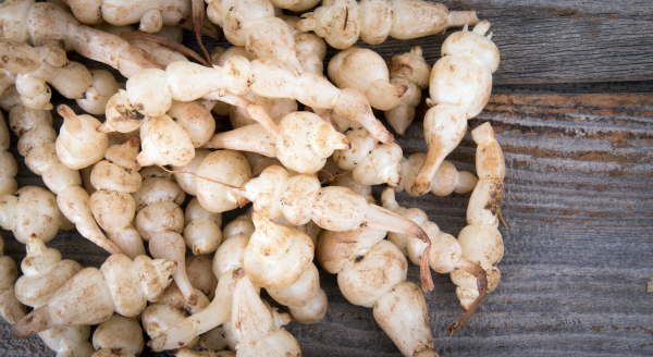 crosnes