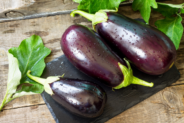 aubergine