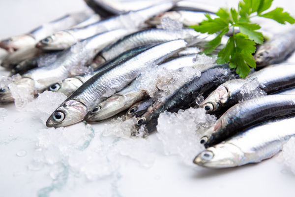 anchois