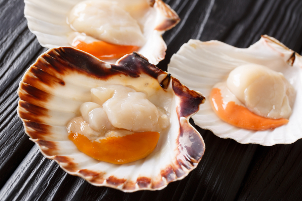 coquilles st jacques