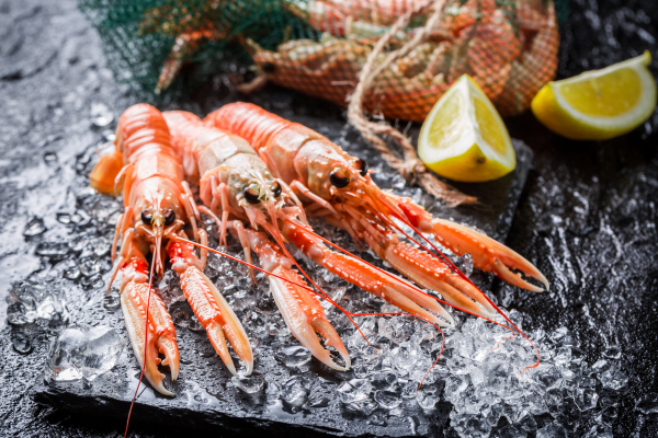 langoustines