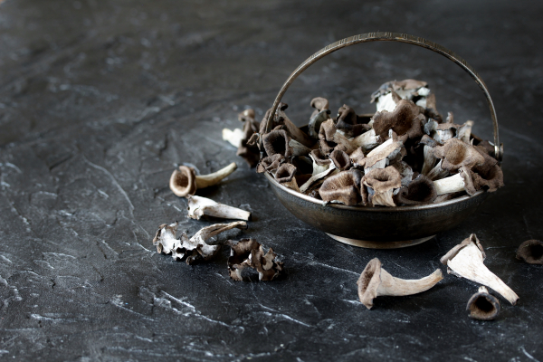 trompette de la mort