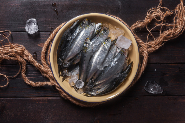 sardine