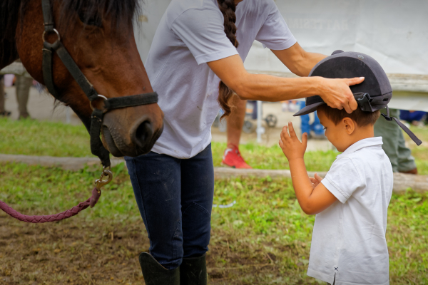 Equitation